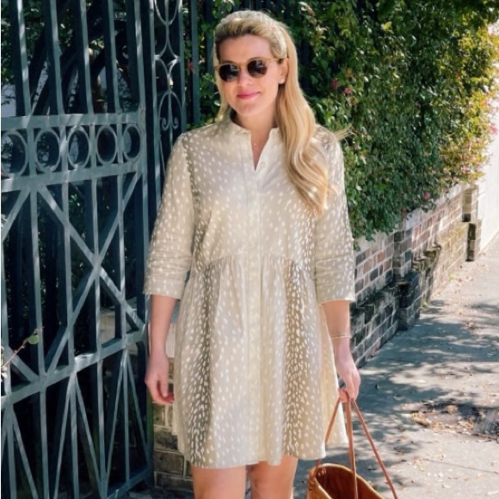 Tuckernuck Antelope Royal Shirt Dress XS